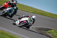 anglesey-no-limits-trackday;anglesey-photographs;anglesey-trackday-photographs;enduro-digital-images;event-digital-images;eventdigitalimages;no-limits-trackdays;peter-wileman-photography;racing-digital-images;trac-mon;trackday-digital-images;trackday-photos;ty-croes